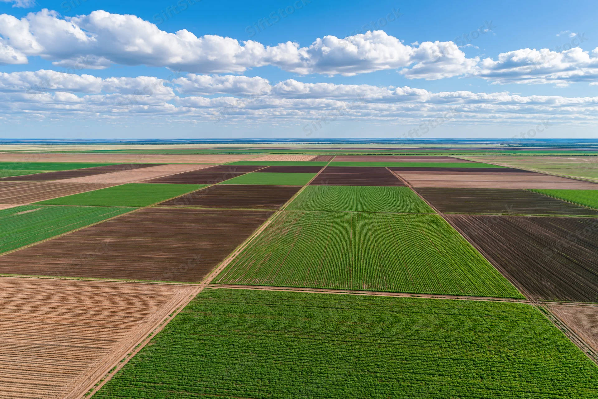 Aerial view of vast flat agricultural land divided into geometric fields under a blue sky with clouds