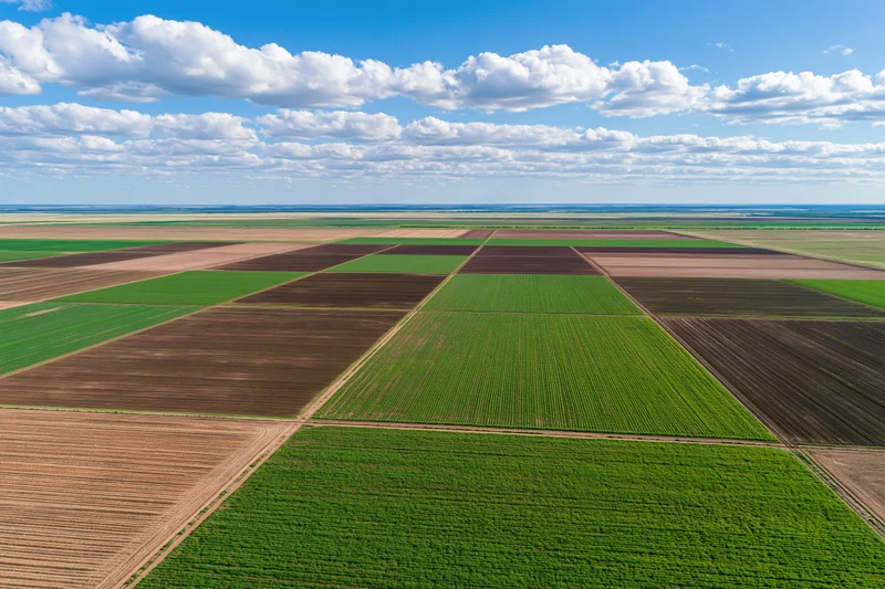 Aerial view of vast flat agricultural land divided into geometric fields under a blue sky with clouds