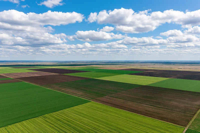 Aerial view of vast flat agricultural land divided into geometric fields under a blue sky with white clouds
