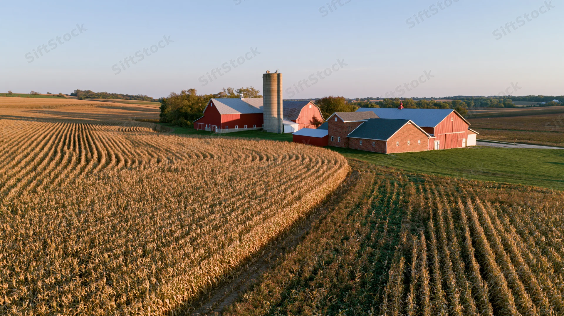 Aerial view of a midwestern farm complex with red barns and cornfields at sunset