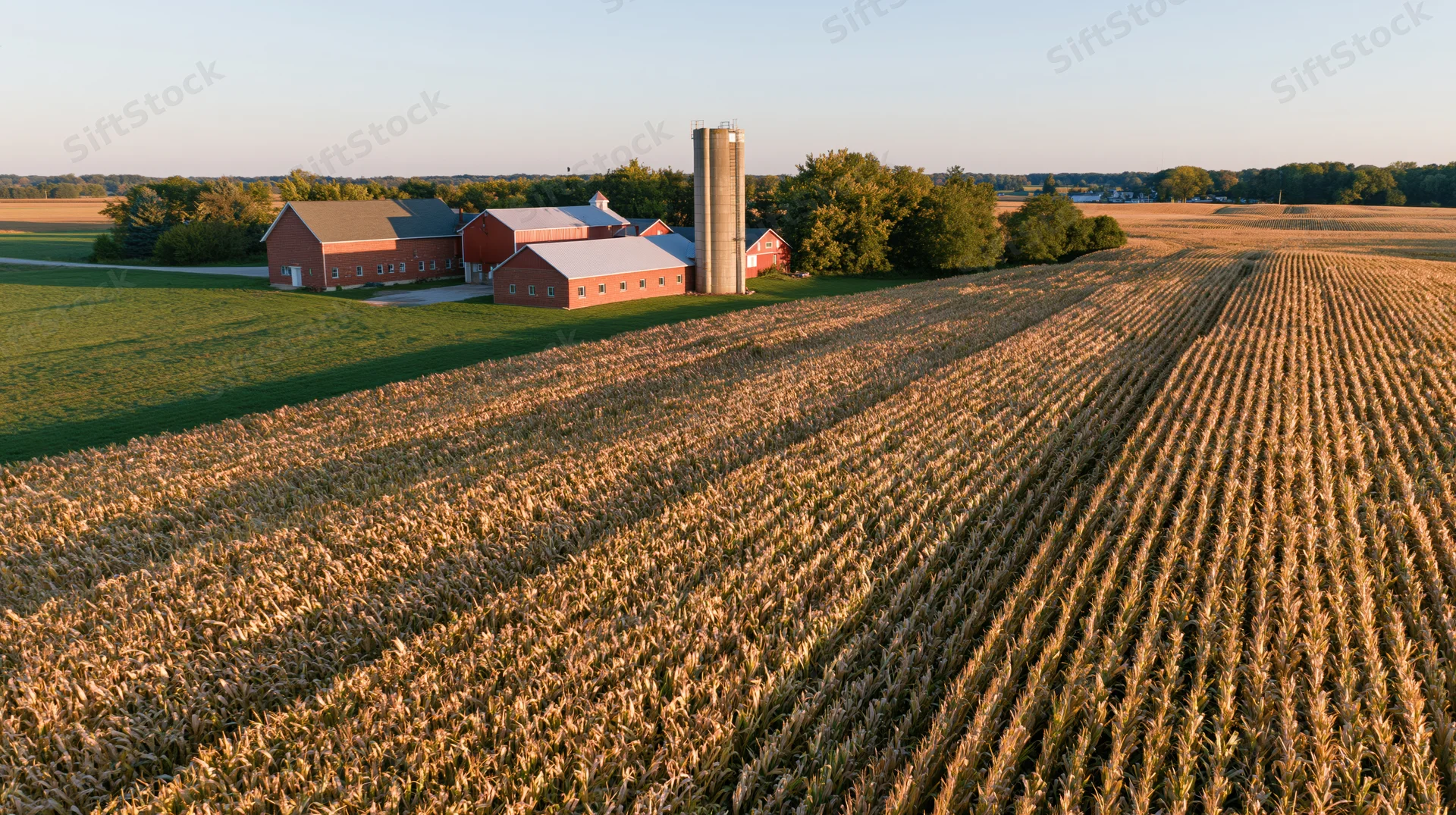 Aerial view of a midwestern farm complex with red barns and a silo surrounded by a cornfield at sunset
