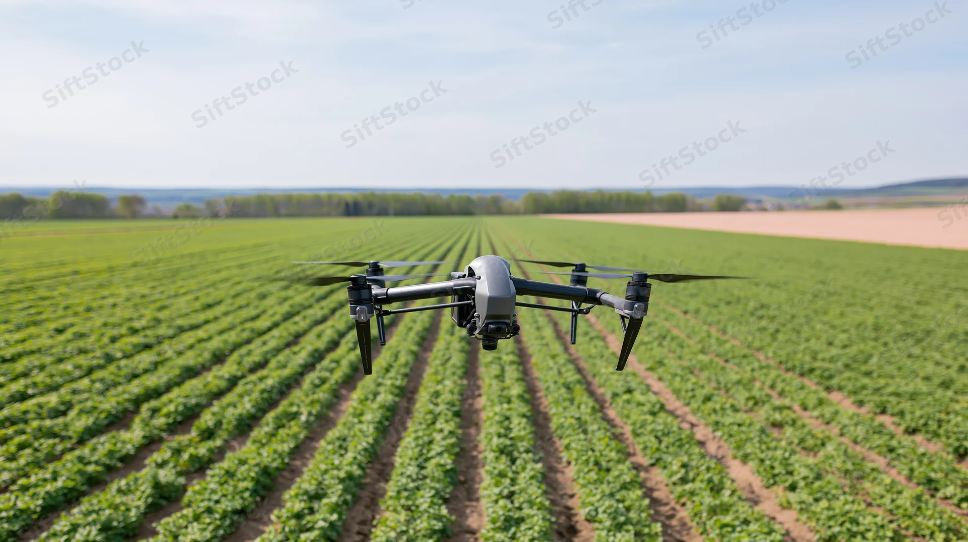 Drone hovering over rows of crops in a farm field