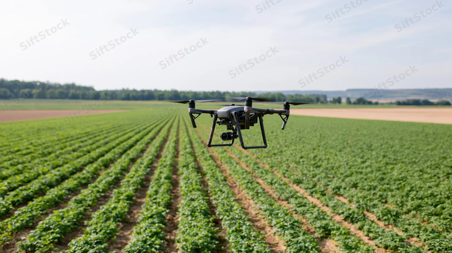 Drone hovering low over neat rows of green crops in a farm field