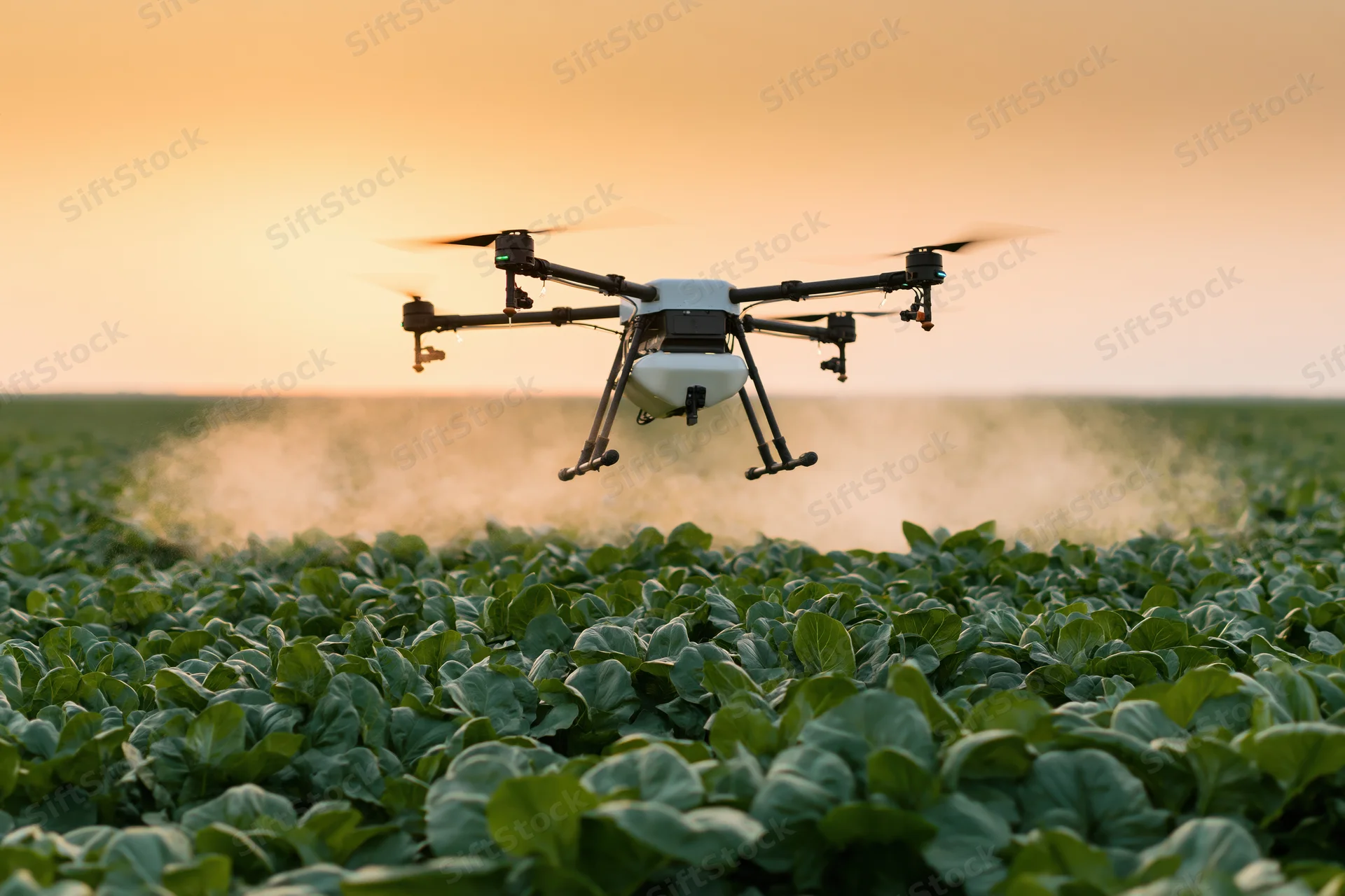 Drone spraying crops over a field at sunset