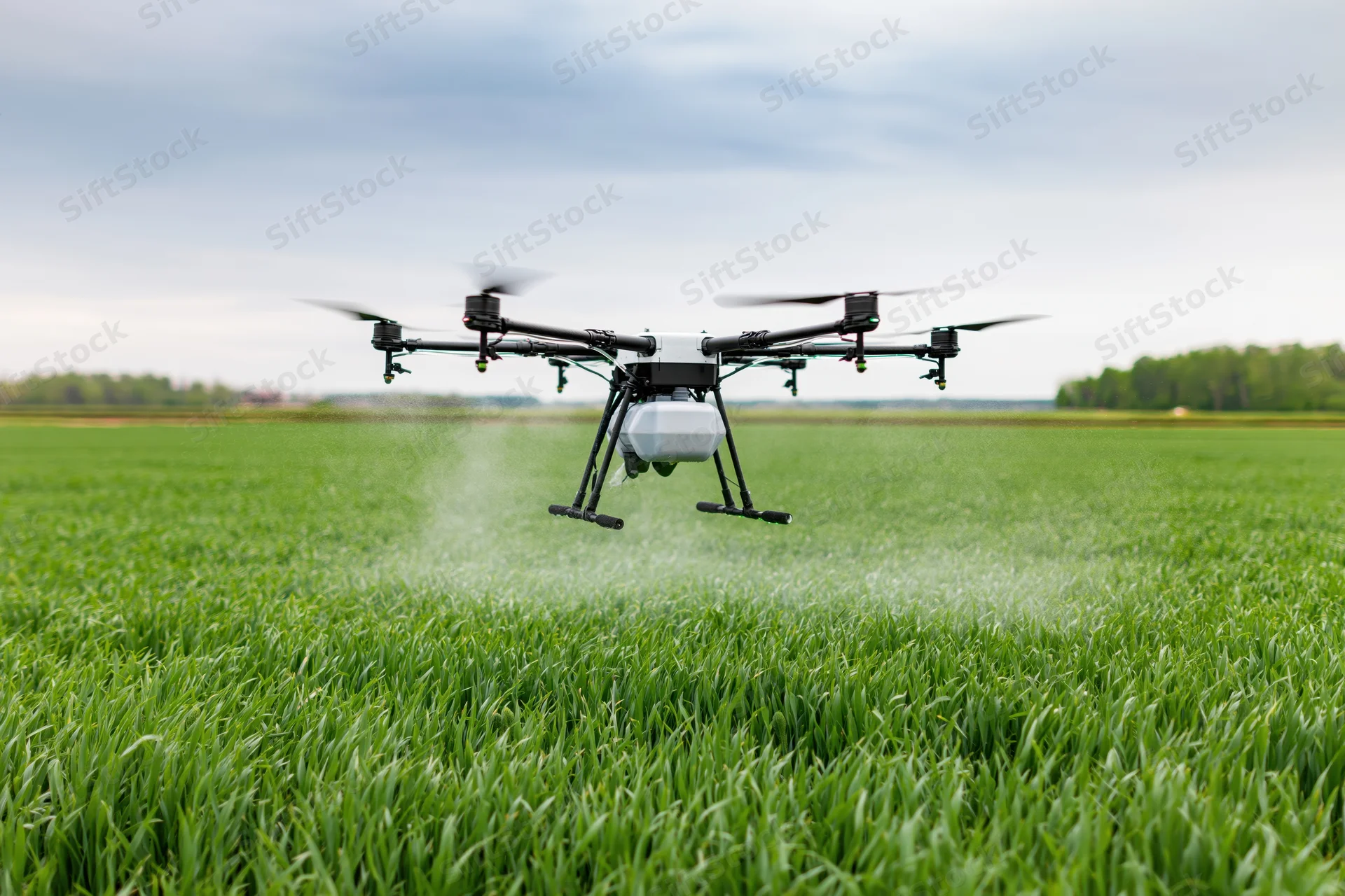 Drone hovering low over green crop field spraying pesticide