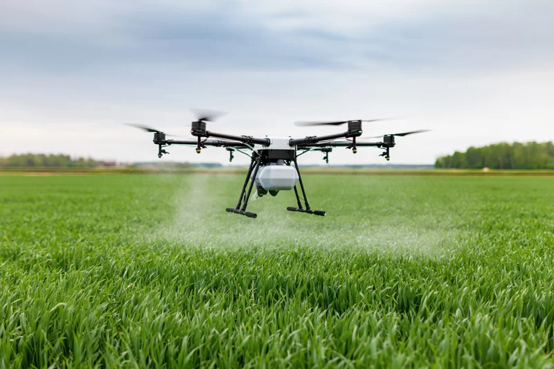 Drone hovering low over green crop field spraying pesticide