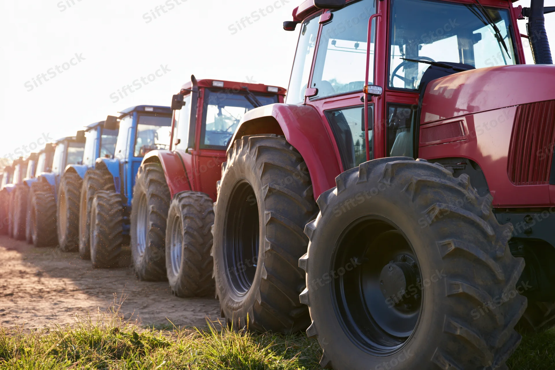 Row of red and blue farm tractors parked in a field with grass and dirt ground