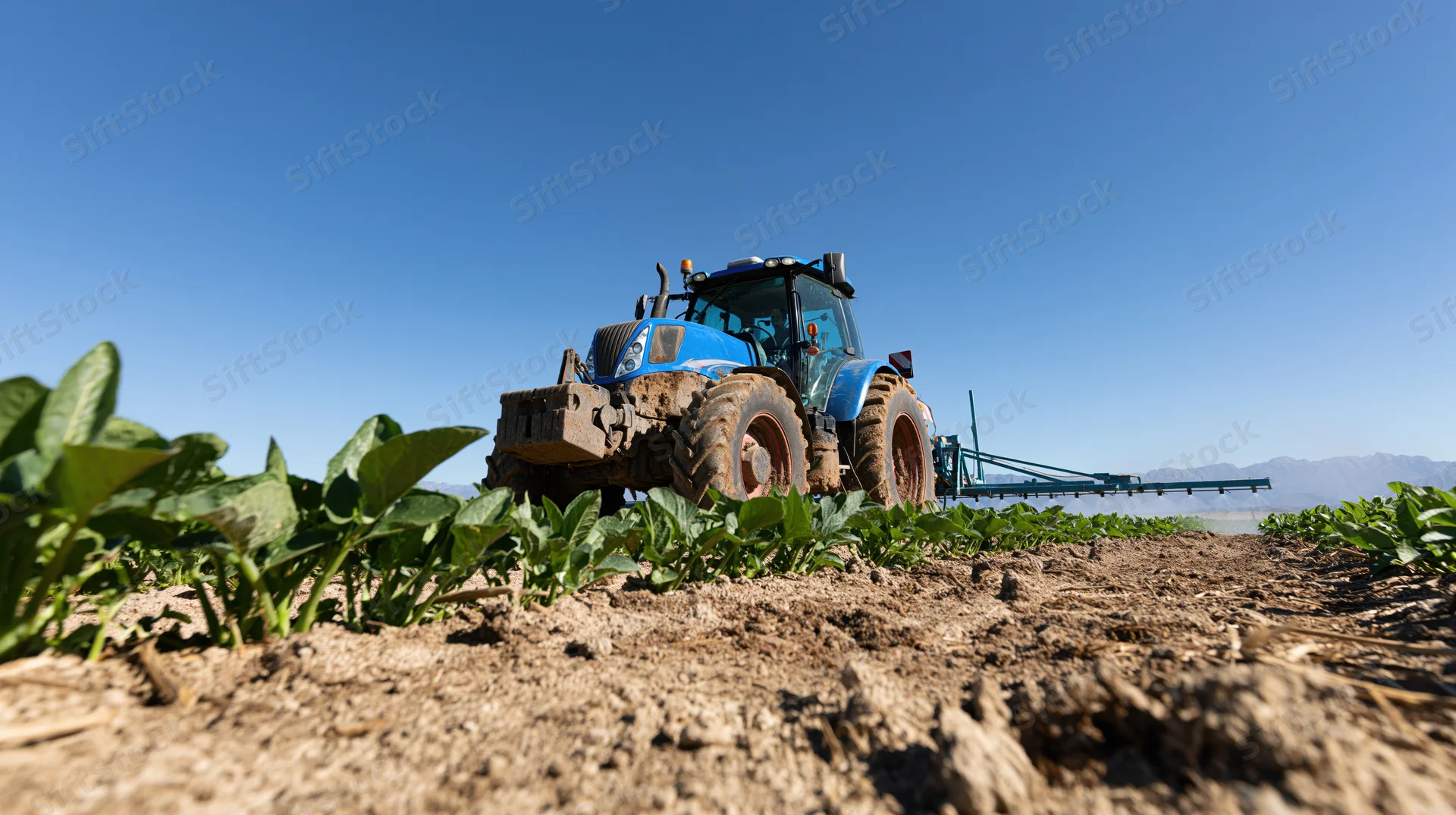 Blue farm tractor spraying crops across an agricultural field