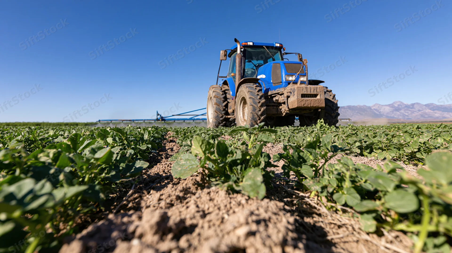 Blue tractor spraying crops in a wide flat agricultural field under clear sky