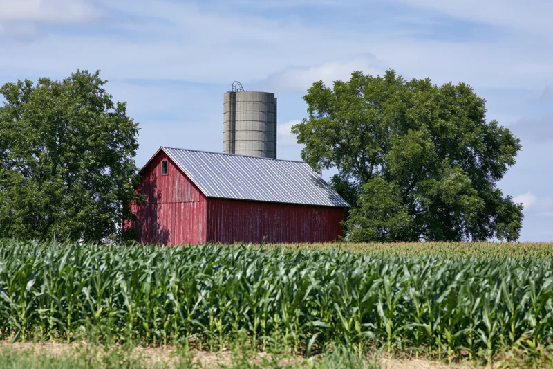 Red wooden barn with metal roof and concrete silo behind a cornfield under a partly cloudy sky