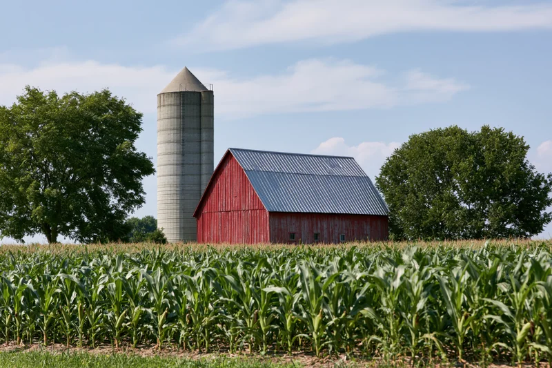 Red wooden barn with metal roof and concrete silo standing in a cornfield under a blue sky with scattered clouds