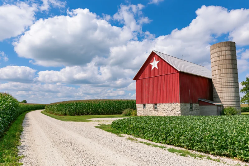 Red barn with white star emblem beside gravel road in cornfield under blue sky with clouds
