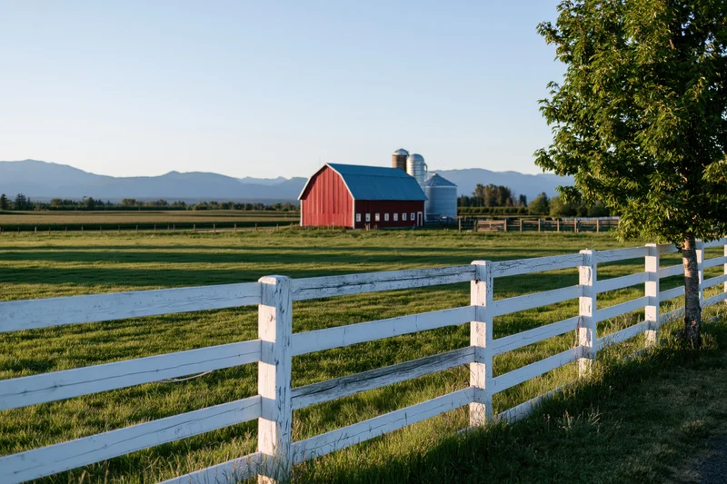 Red barn with blue metal roof and white fence in open grassy field under clear sky
