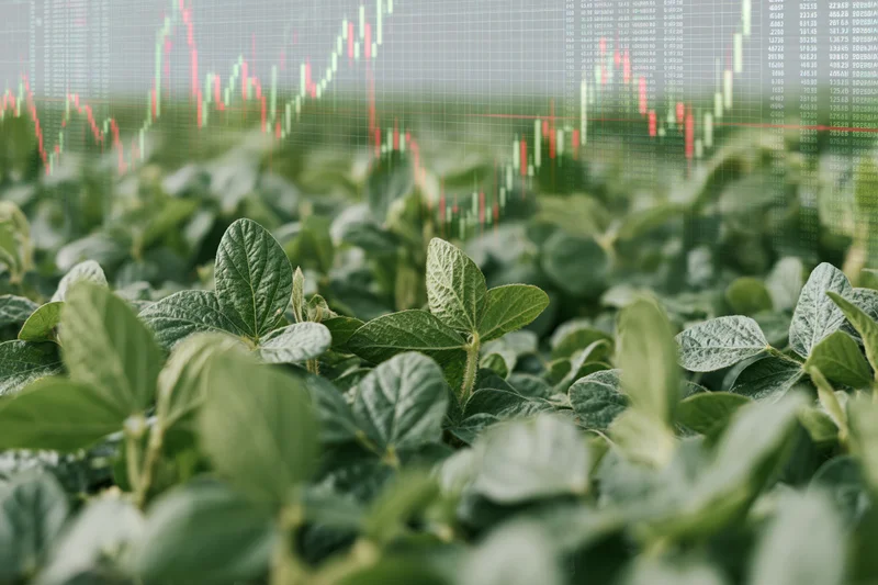 Soybean plants growing in a field with a digital stock market graph overlaid