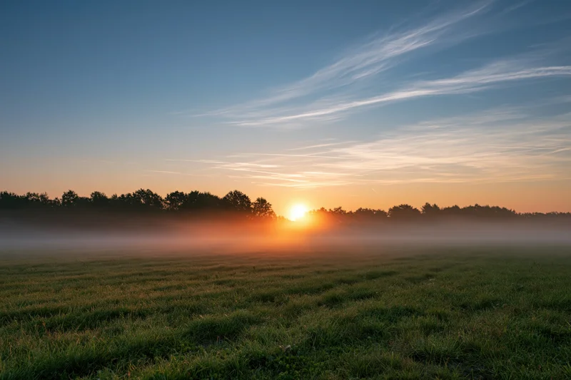 Sunrise over a misty rural meadow with trees on the horizon at dawn