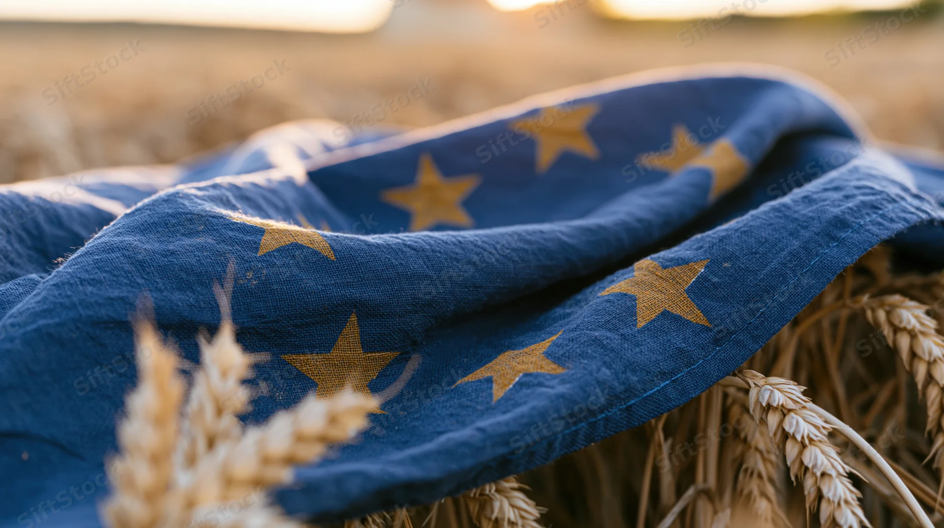 European union flag draped over wheat field at sunset