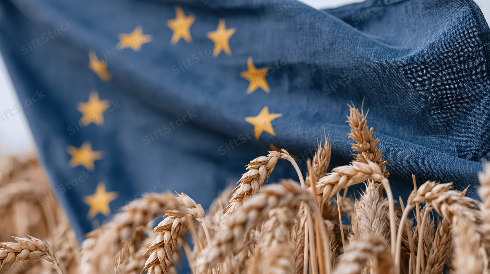 Wheat stalks in foreground with european union flag rippling in background