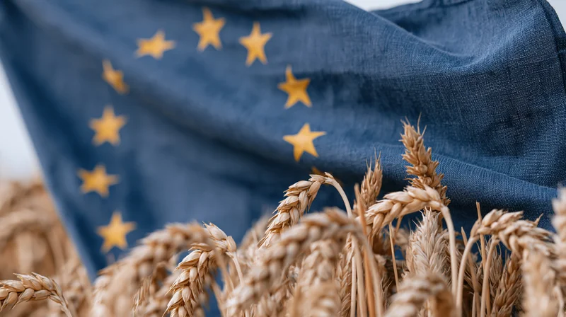 Wheat stalks in foreground with european union flag rippling in background
