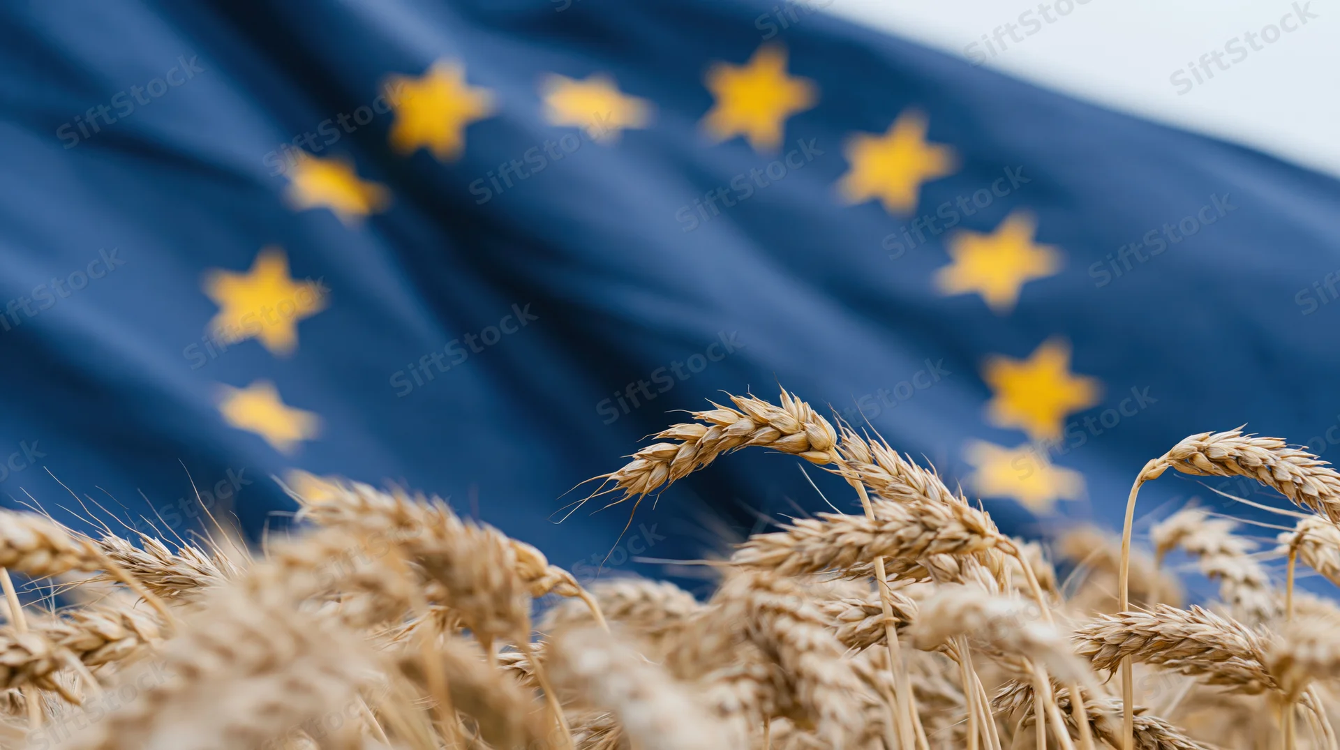 Golden wheat stalks in a field with the european union flag rippling in the background