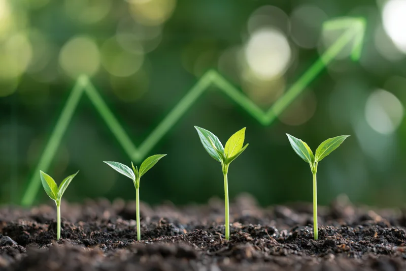 Four green seedlings growing in dark soil with a rising graph overlay in the background