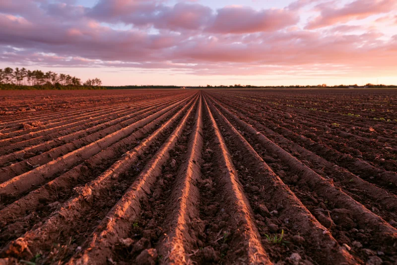 Freshly plowed agricultural field with deep parallel furrows under a twilight sky