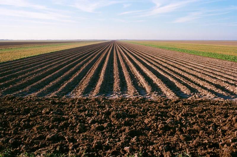 Freshly plowed agricultural field with parallel furrow rows stretching toward the horizon under a clear blue sky