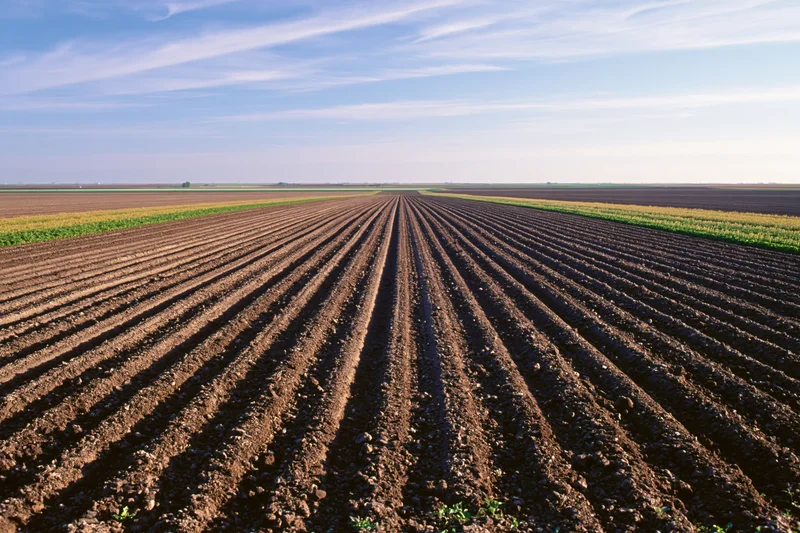 Freshly plowed field with parallel furrow rows stretching toward the horizon under a blue sky