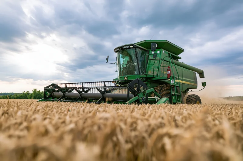 Green combine harvester cutting through a ripe wheat field
