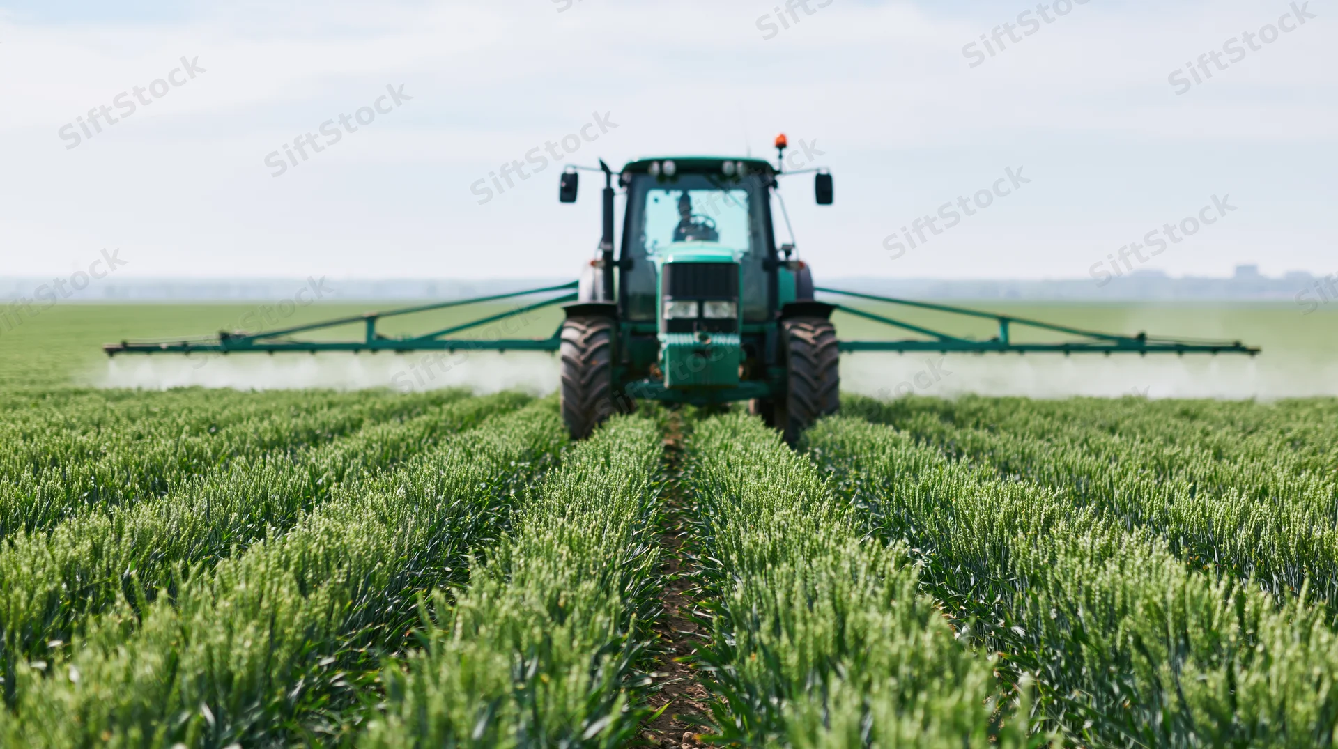 Green tractor spraying pesticide across a wheat field in rural farmland