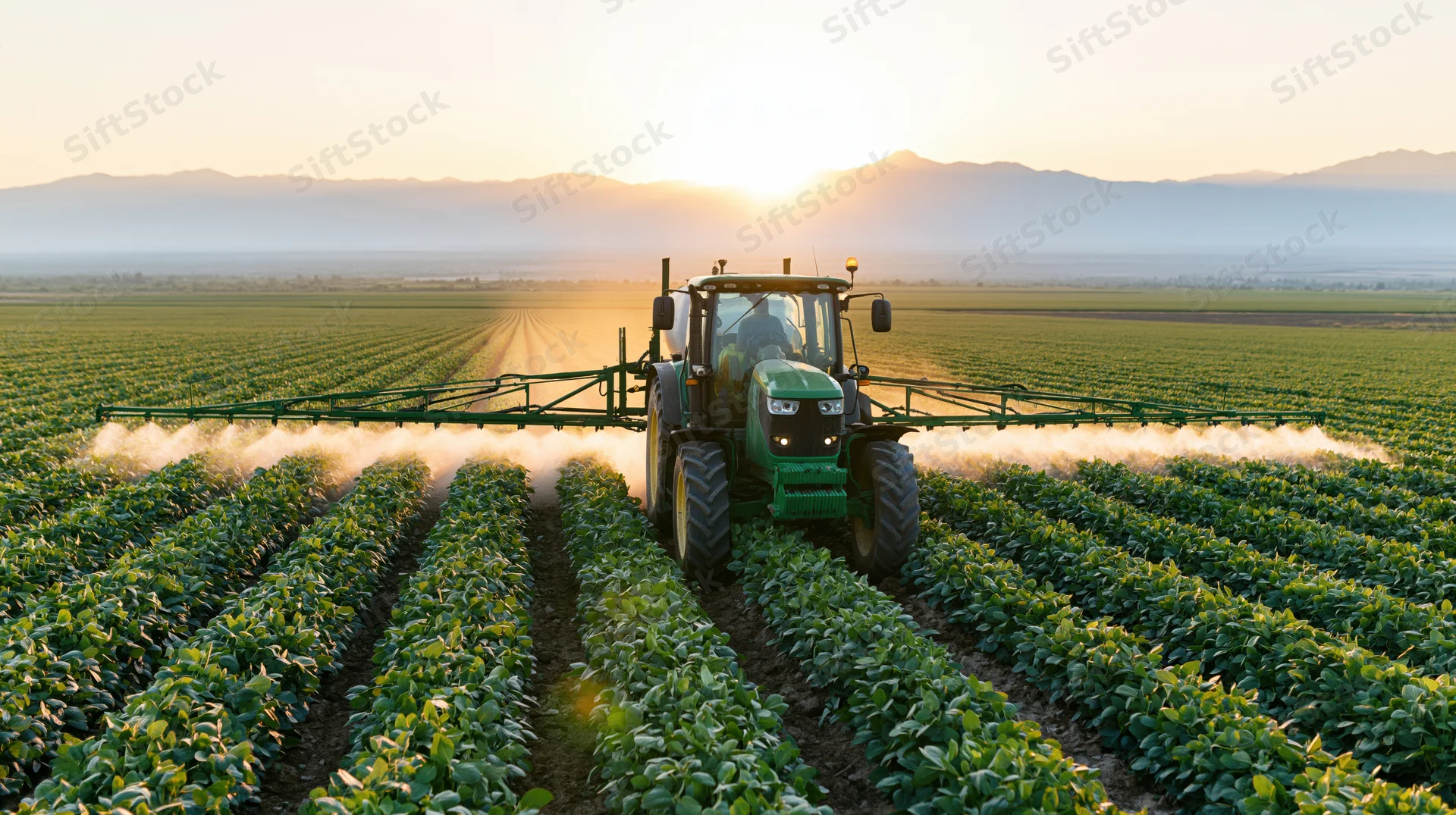 Green tractor with wide boom sprayer applying pesticide across rows of crops in a field at sunset