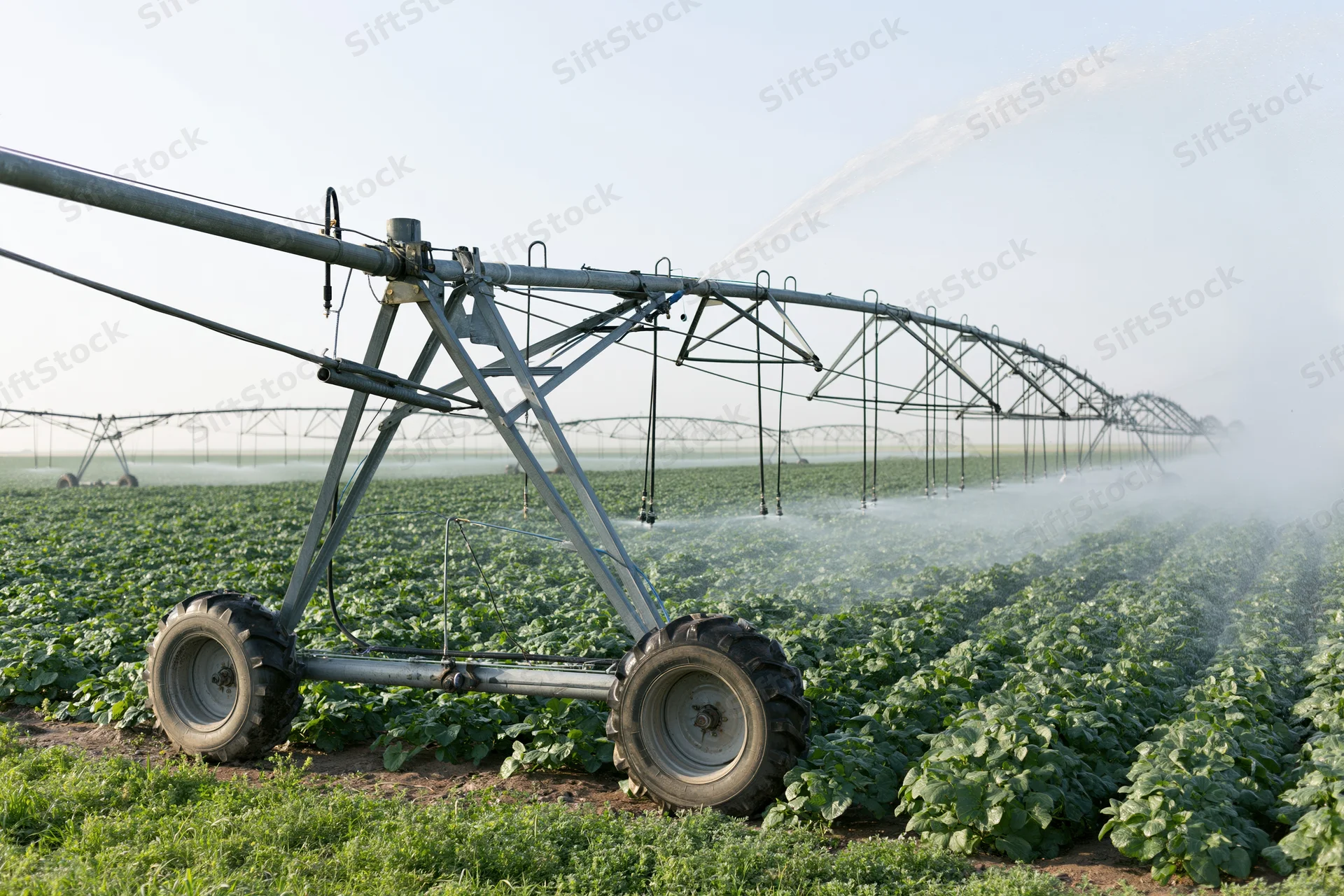 Center-pivot irrigation system spraying water over rows of crops in a farm field