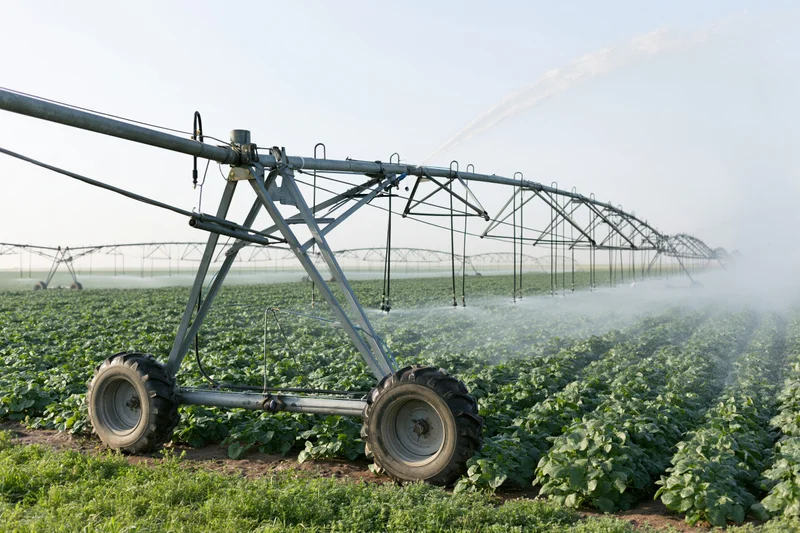 Center-pivot irrigation system spraying water over rows of crops in a farm field