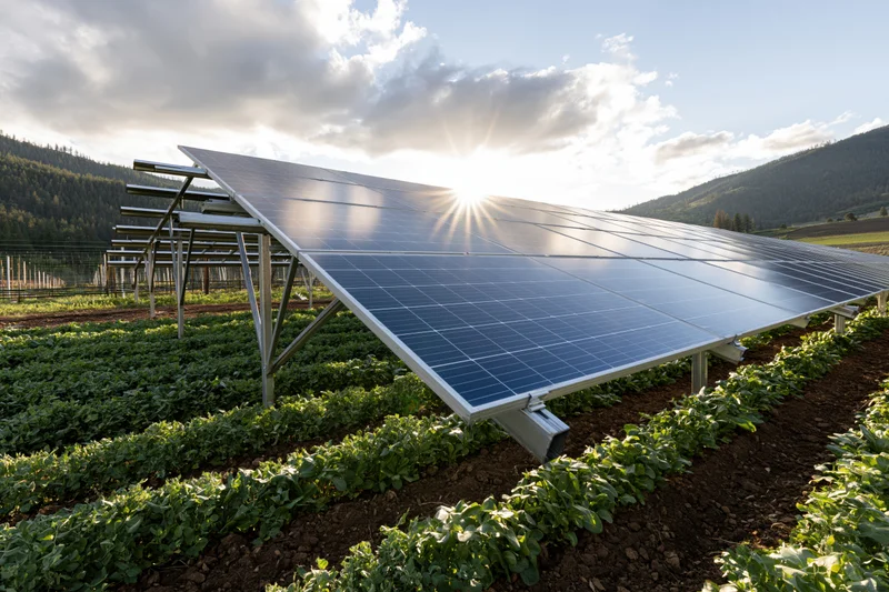 Solar panels mounted on metal frames over rows of crops in a field with mountains and sun in the background