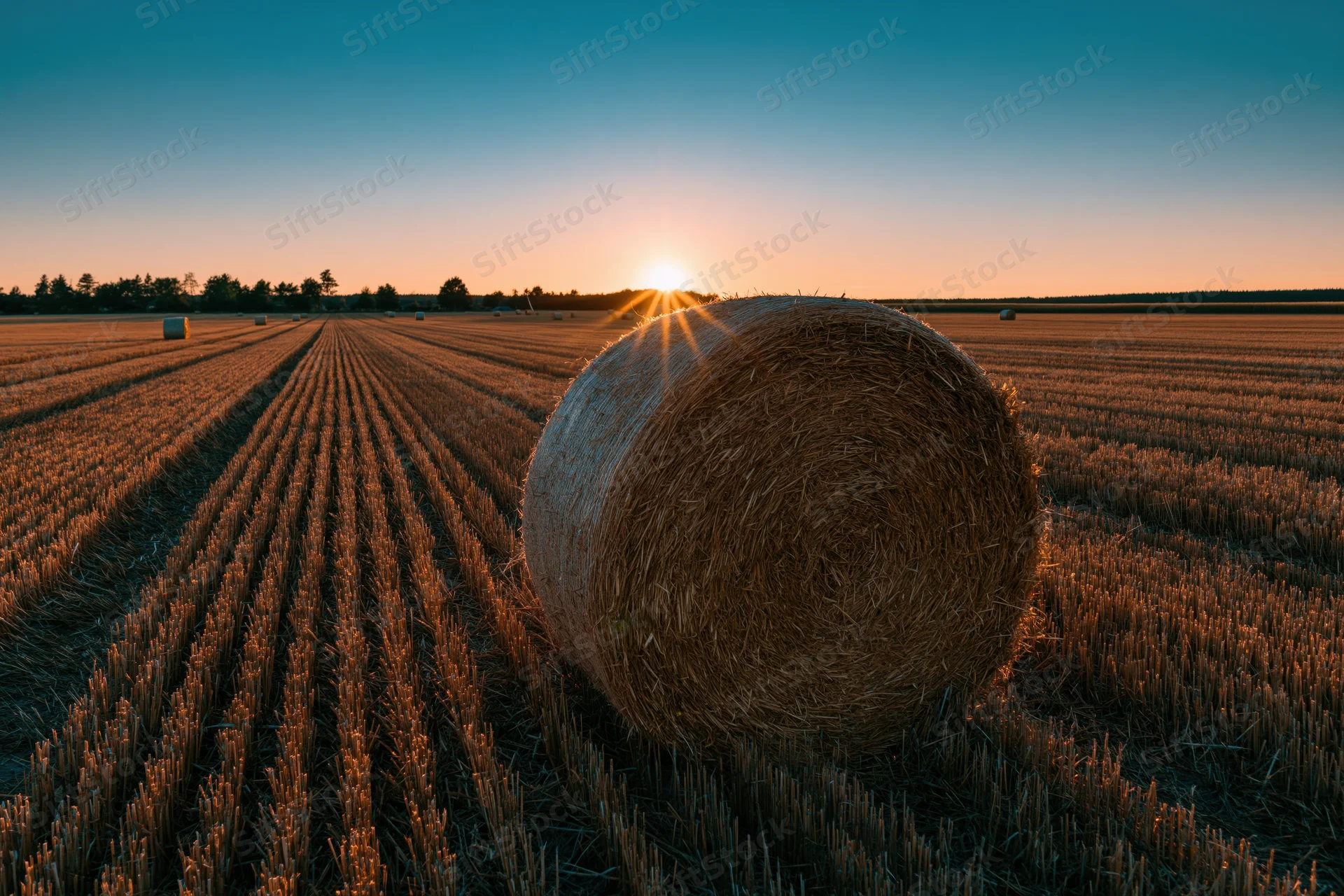 Large round hay bale in a harvested wheat field at sunset