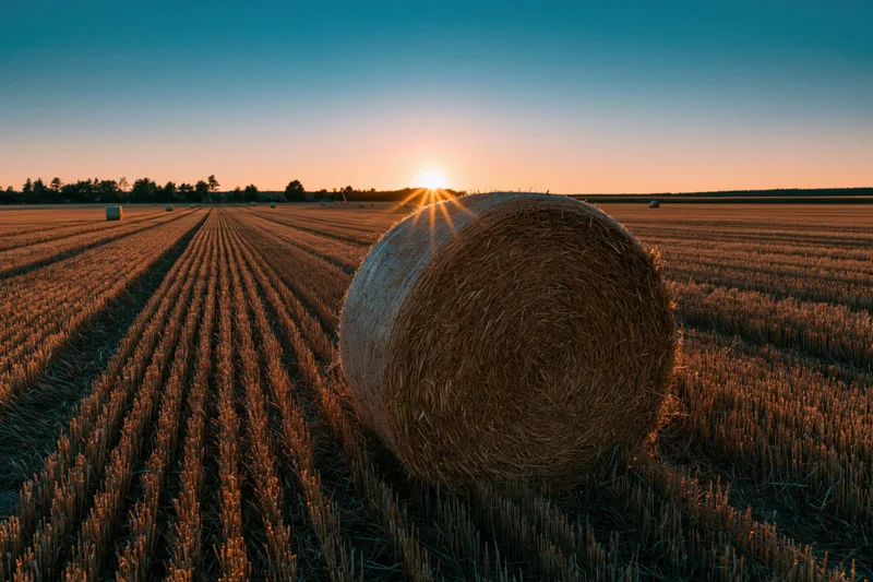 Large round hay bale in a harvested wheat field at sunset