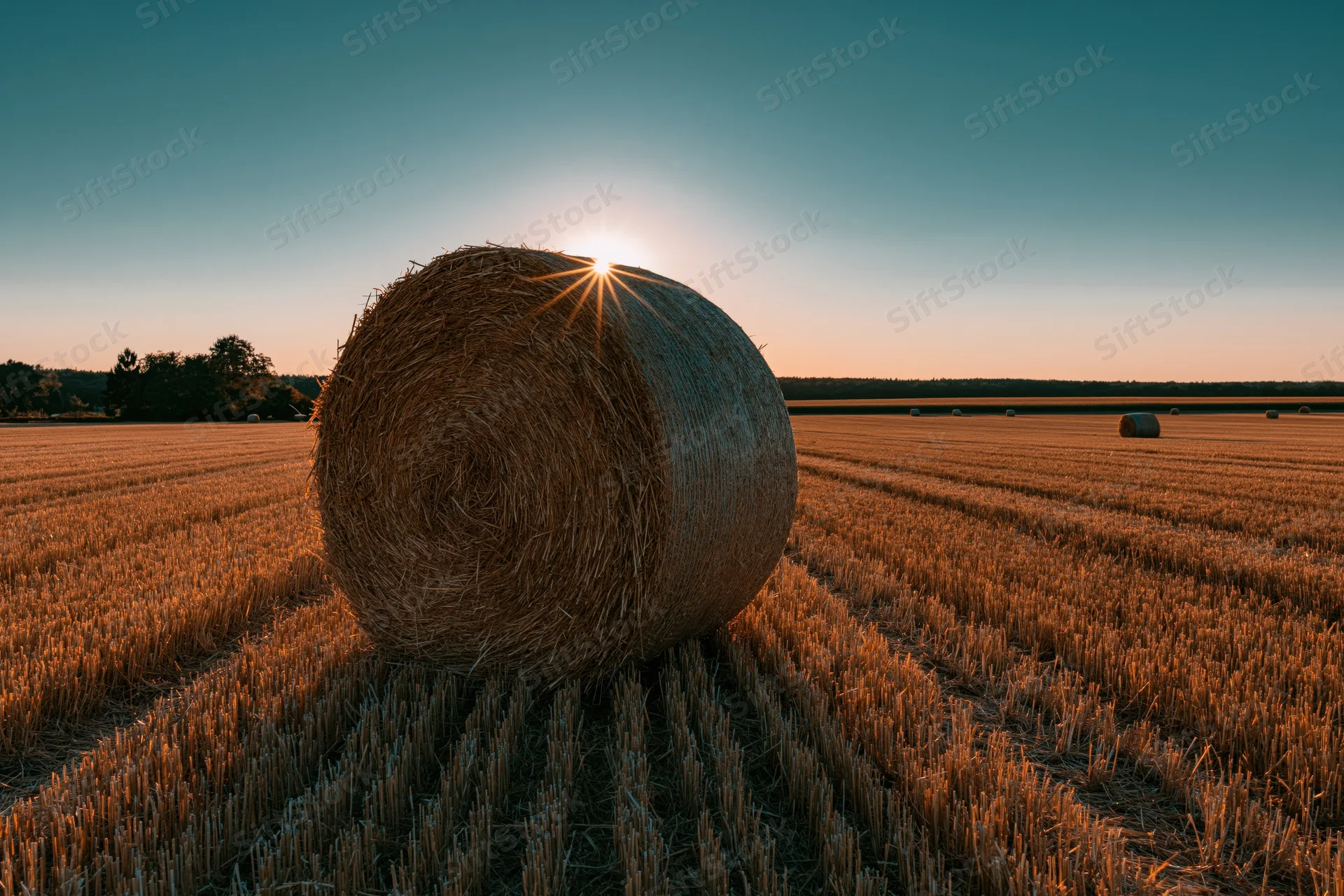 Large round hay bale in a harvested wheat field at sunset