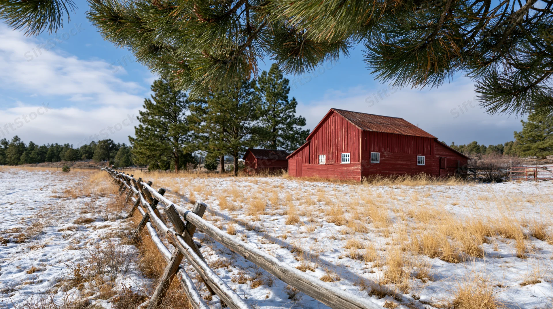 Red barn and small outbuilding in snow-dusted rural field with wooden fence and pine trees
