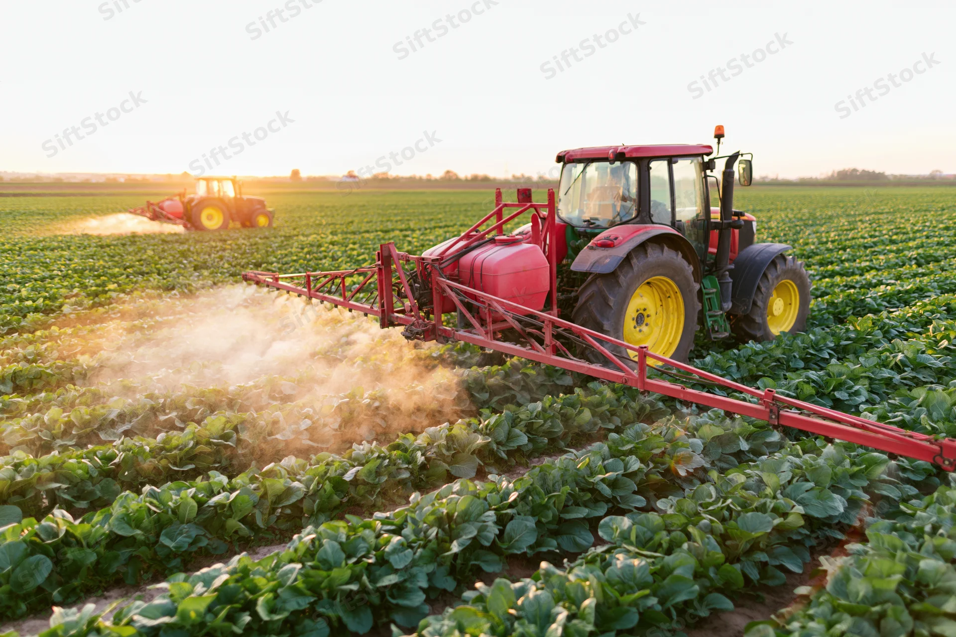 Red tractor spraying crops in a green field at sunrise