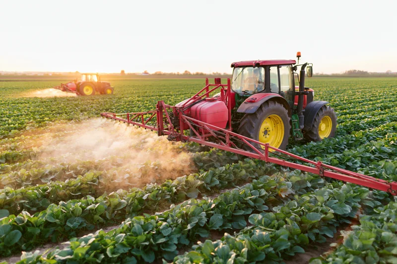 Red tractor spraying crops in a green field at sunrise