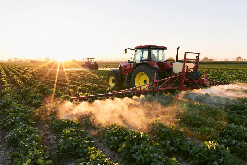 Red tractor spraying crops in a field at sunset