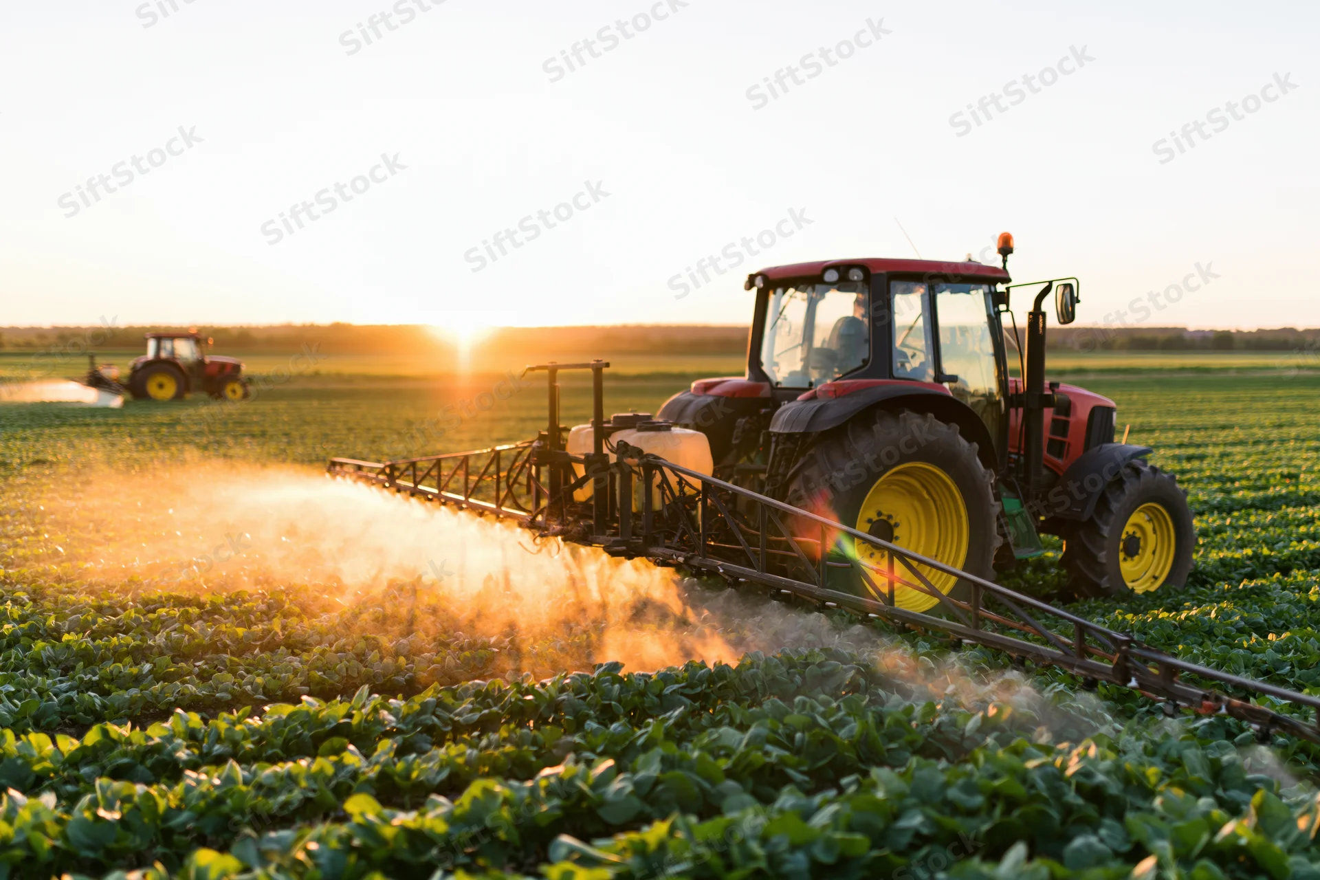 Red tractor spraying crops in a green field at sunset
