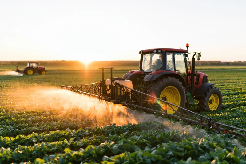 Red tractor spraying crops in a green field at sunset