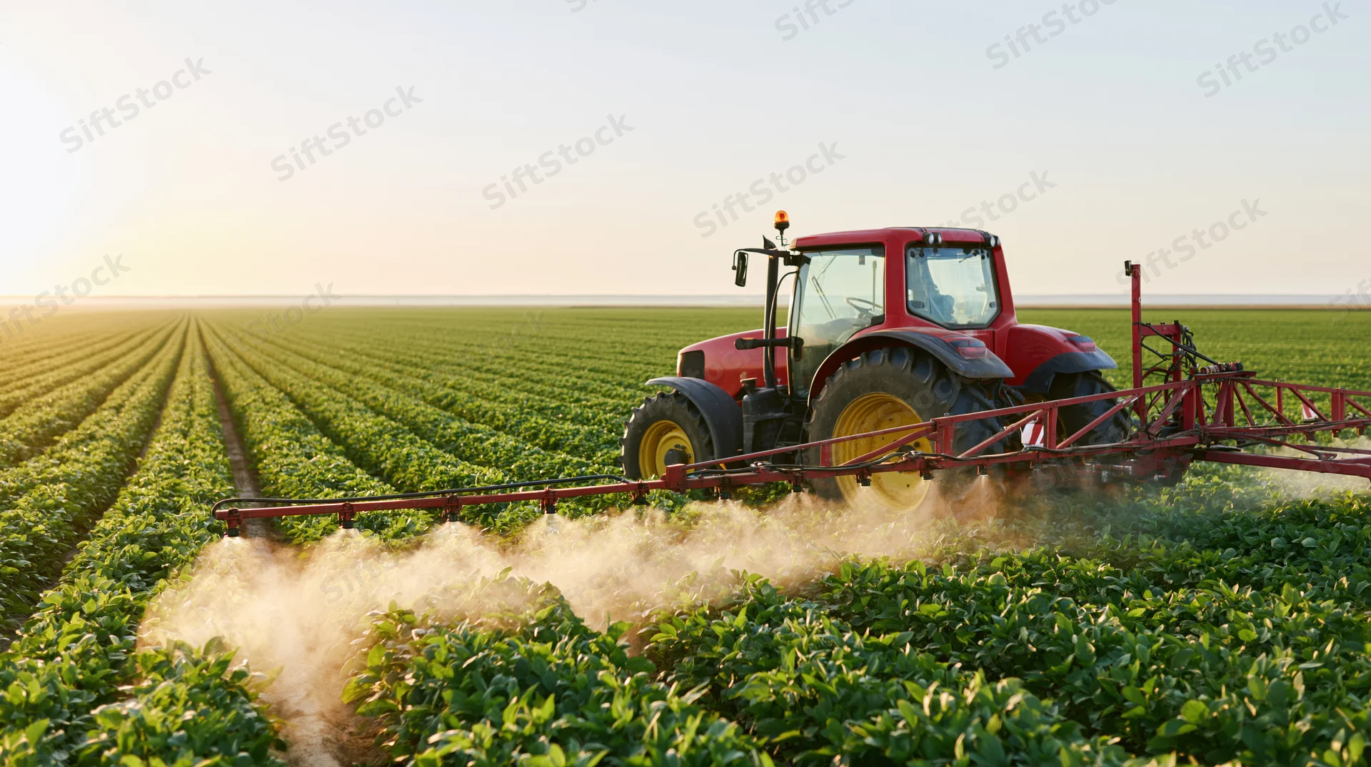 Red tractor spraying crops in a vast green field at sunrise