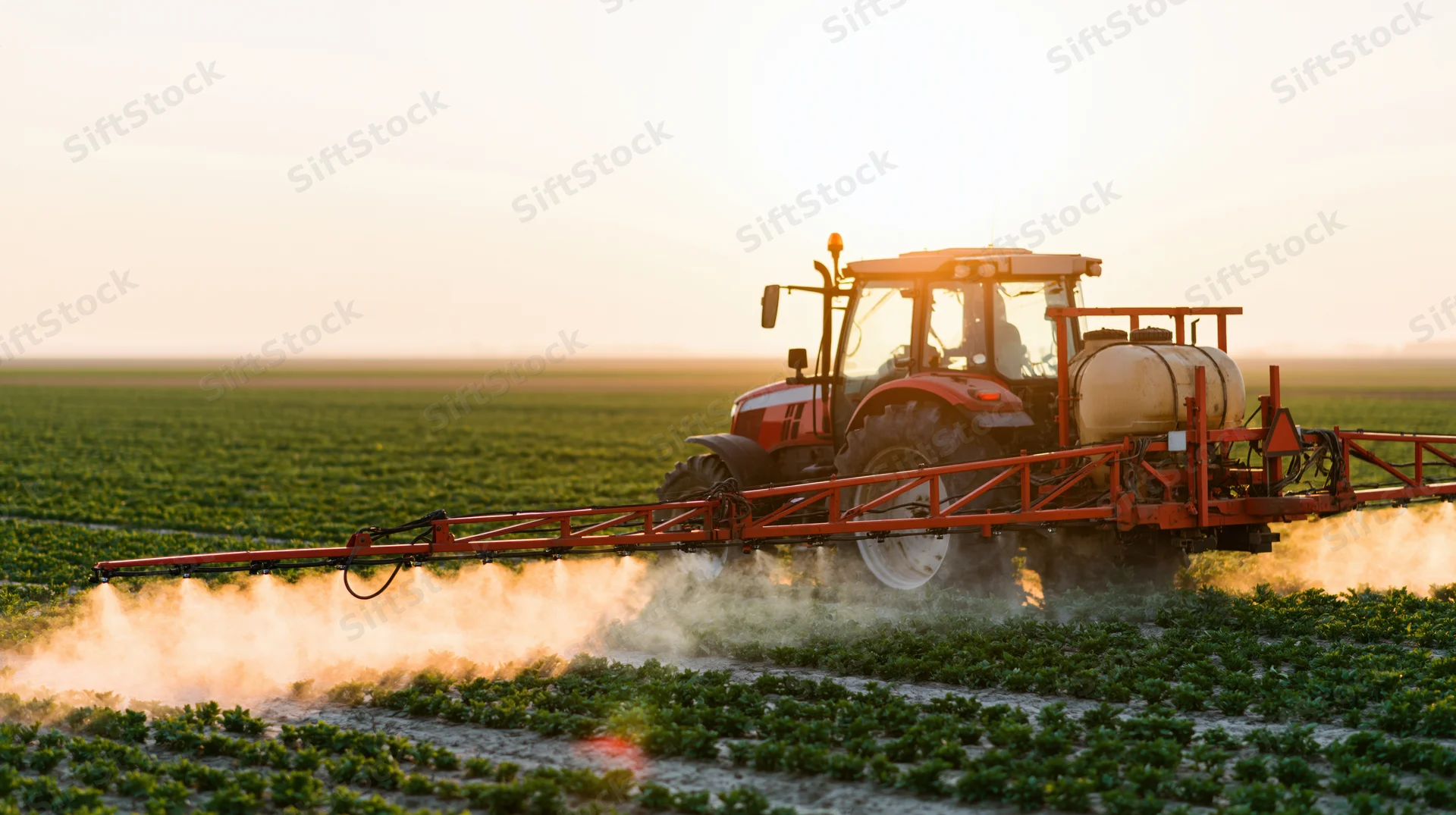 Red tractor spraying pesticide across a green crop field at sunset