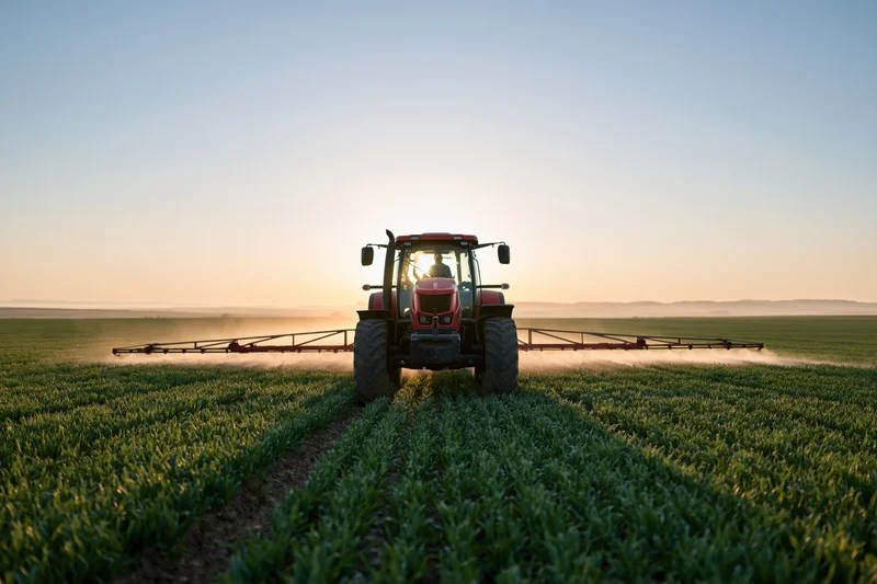 Red tractor spraying crops in a flat green field at sunrise