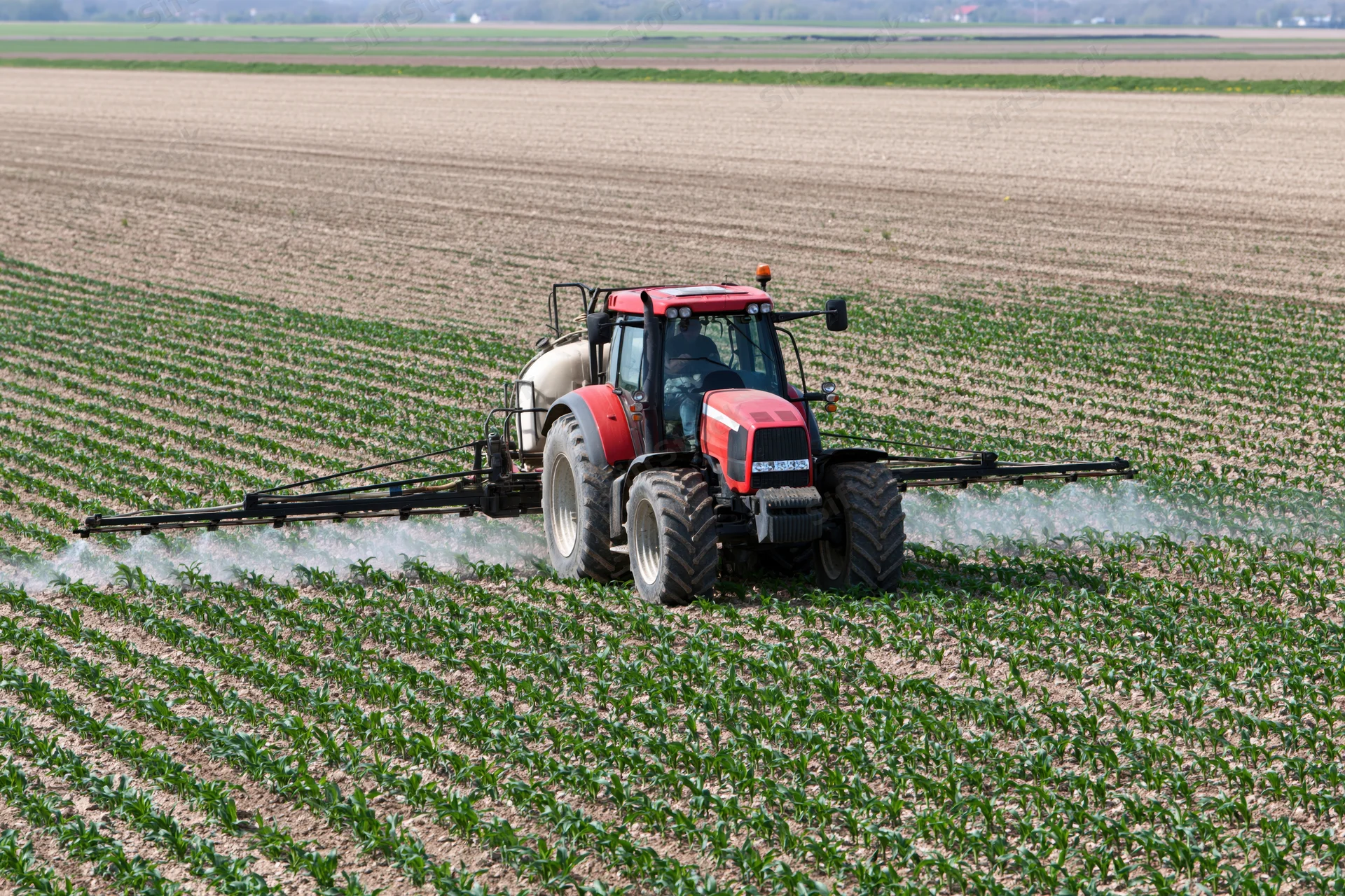Red tractor spraying crops in a field