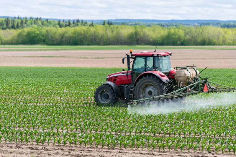 Red tractor spraying crops in a green field