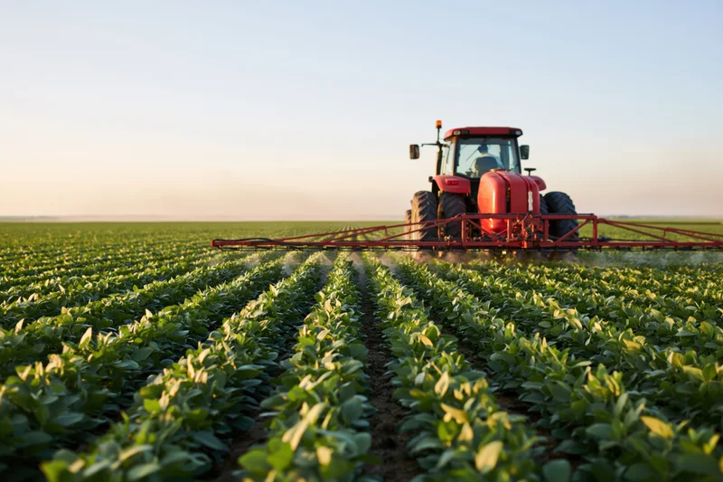 Red tractor spraying crops in a soybean field at sunrise