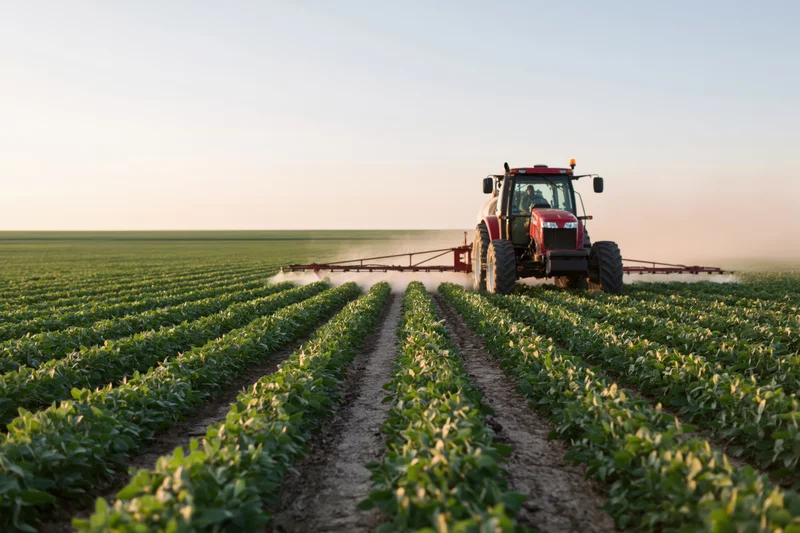 Red tractor with rear-mounted sprayer moving through rows of soybean plants in a field at sunset