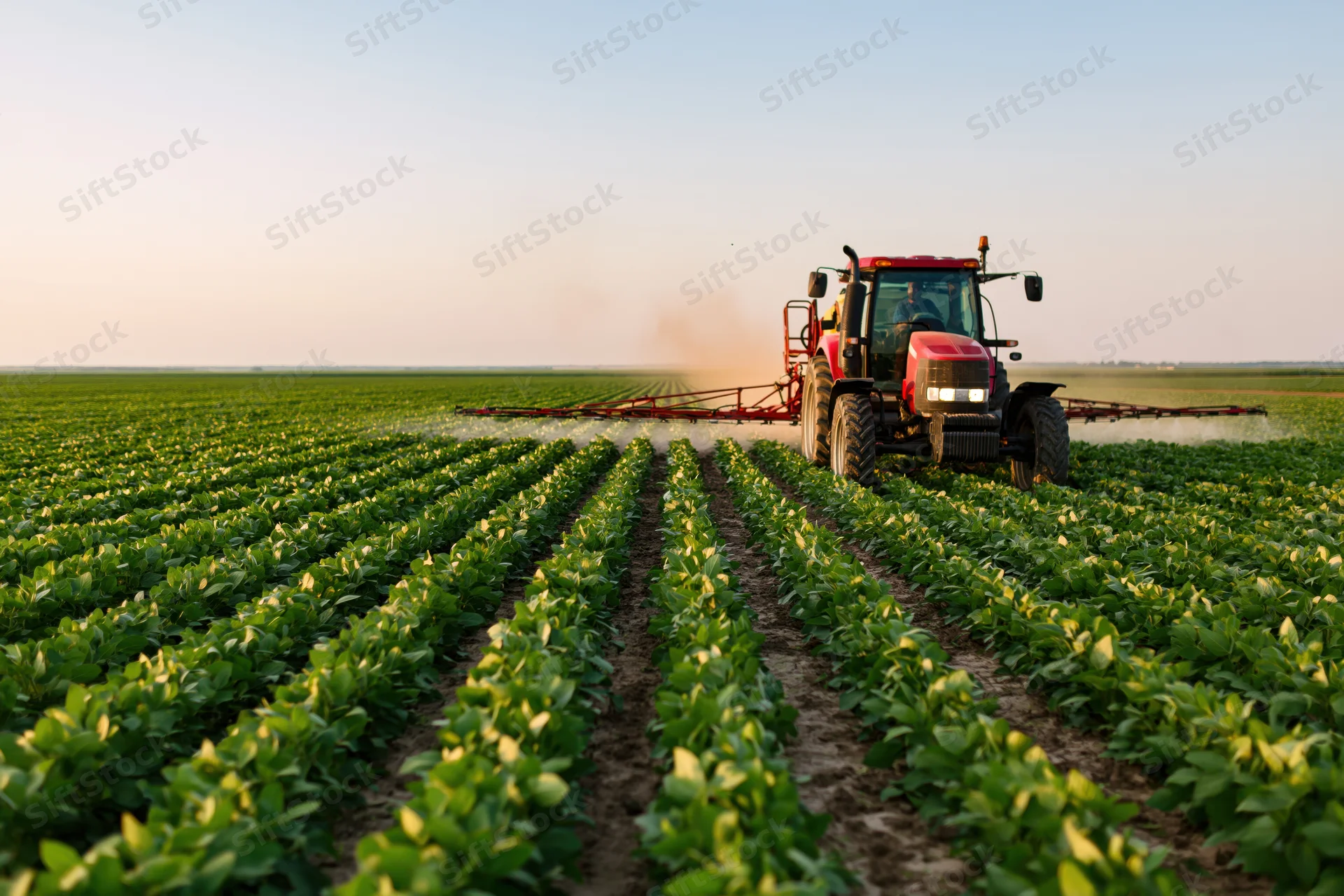 Red tractor spraying crops in a green soybean field at sunrise
